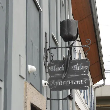 Cerny Tulipan - 4 アパート プルゼニ