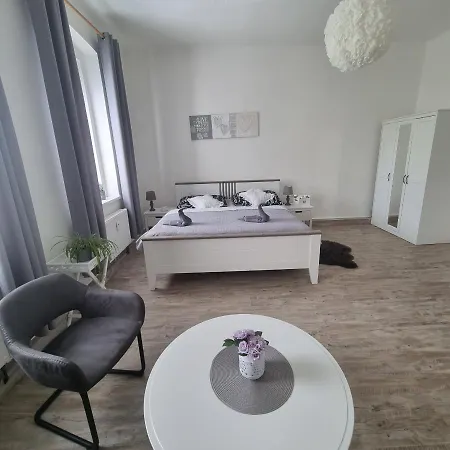 černý Tulipán - 4 Apartman Plzeň