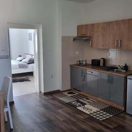 Cerny Tulipan - 4 Apartment Plzen