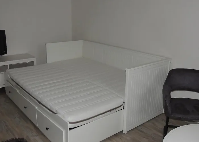 Cerny Tulipan - 4 *