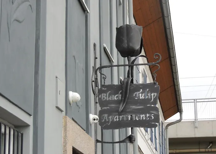 Cerny Tulipan - 4 Daire Plzeň