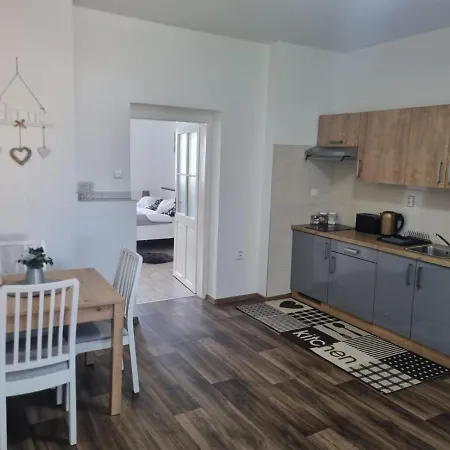 Cerny Tulipan - 4 Apartament Pilzno